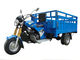 Bügeln Sie Antriebswelle motorisiertes Dreirad der Fracht-250cc mit differenzialer Achse für schweres Laden