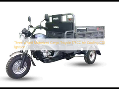 Drei-Rad-motorisiertes Frachtdreirad 175CC Luftkühlung CDI Zündung