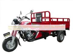 Motorisiertes 3-Rad-Frachtmotorrad, 150CC Fracht-Trike mit Glas-Scheinwerfer