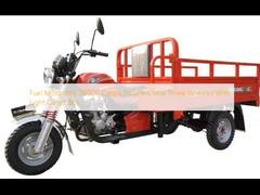Kraftstoffbetriebenes motorisiertes 200CC Cargo-Trike China Dreirad mit leichter Cargo-Box