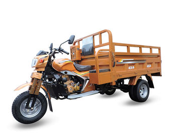 Luxuswagen motorisierte Fracht-Dreirad/das automatische 3 Rad-Motorrad 250cc